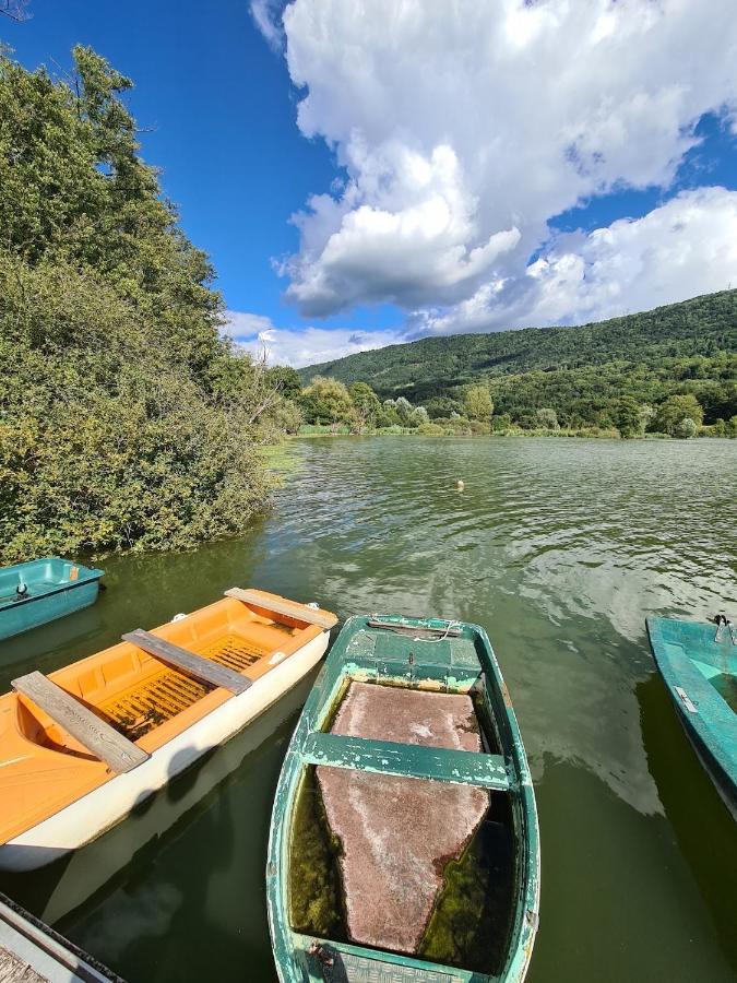 Sainte-Helene-du-Lac Le Lodge Du Pichat מראה חיצוני תמונה